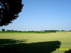 93327574